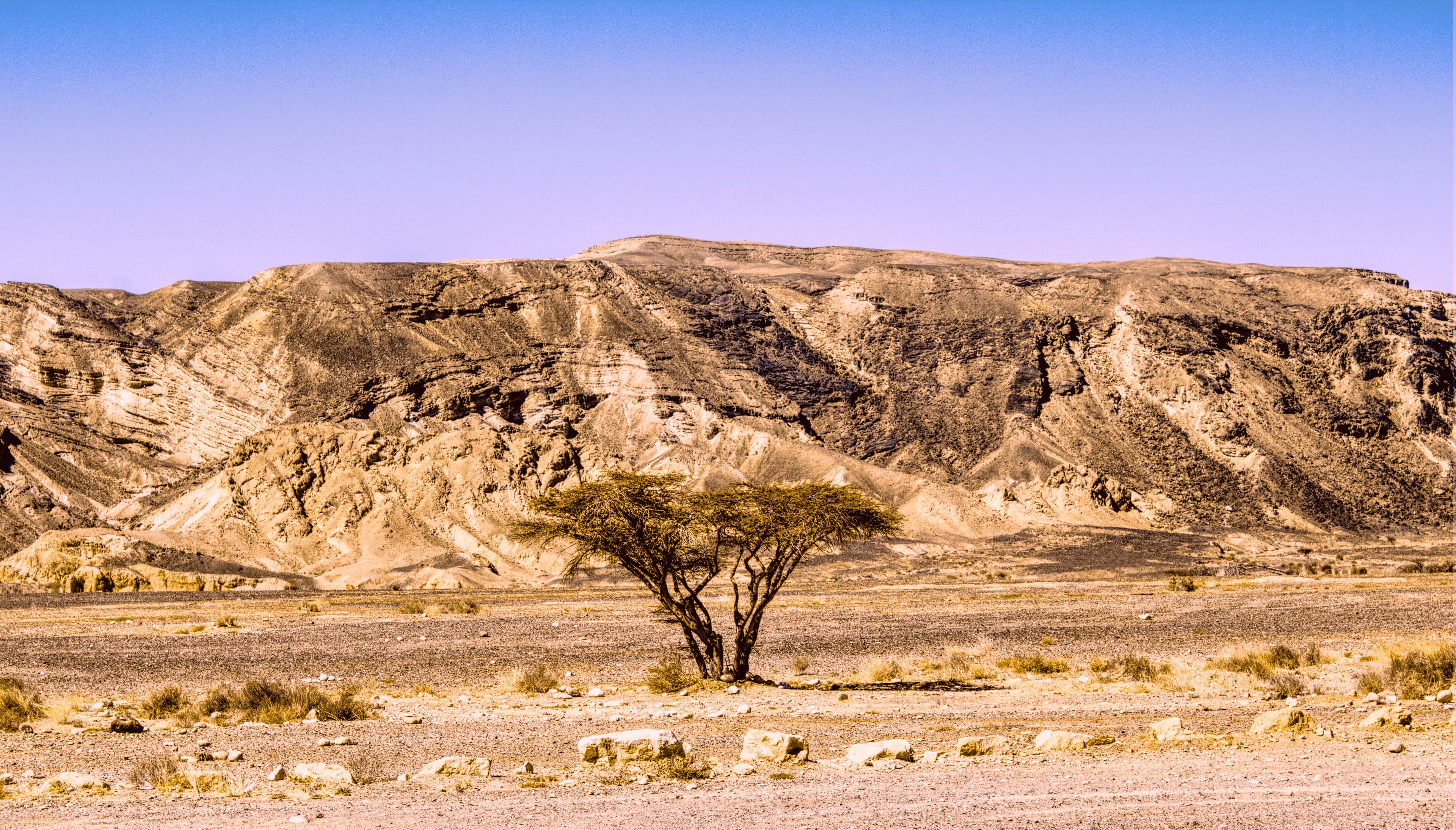 A rocky, arid highland landscape representative of the terrain across Puntland's harvesting regions.